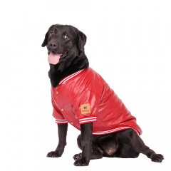 Куртка из кожзама для собак 4XL бордовый (унисекс)