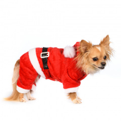 Костюм для собак красный с поясом Дед Мороза