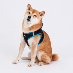 Шлейка-жилетка для собак Air, обхват груди 45-50 см, лента 20 мм, голубая