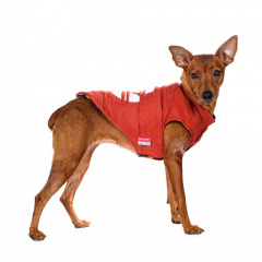 Куртка двухсторонняя для собак XS оранжевый (унисекс)