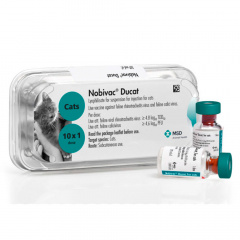 Нобивак Ducat, иммунизация кошек против калицивироза и вирусного ринотрахеита (одна доза)