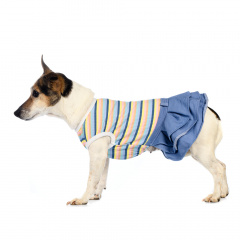 Платье для собак L голубой (унисекс)