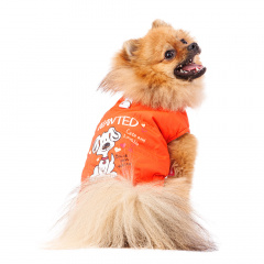Куртка для собак XL оранжевый (унисекс)