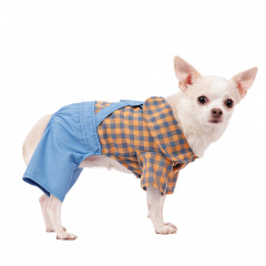 Костюм для собак джинсовый с рубашкой XS