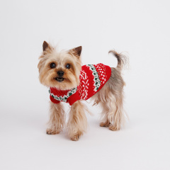 Закажите одежду для собак мелких пород в интернет-магазине Vestis-Dog