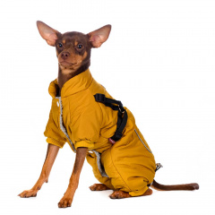 Комбинезон со шлейкой для собак M желтый (девочка)