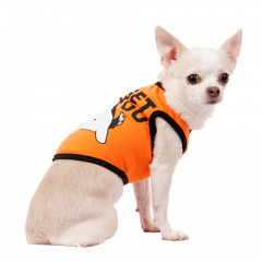 Футболка для собак с хаски S оранжевый (унисекс)