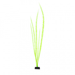 Растение зеленое 29x10см трава