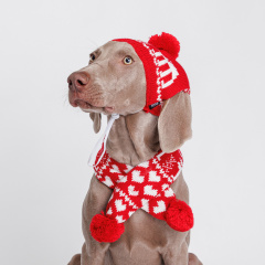 Комплект (шапка и шарф) для собак, шапка 28х12 см, шарф 50х6 см, красный