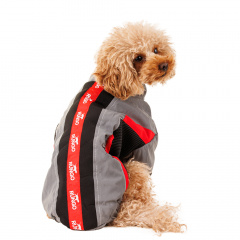 Куртка на молнии для собак мелких пород Карликовый пинчер, Джек Рассел, Бигль, L, 33x48x31 см, серый (унисекс)