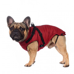 Попона теплая со шлейкой для собак мелких пород Французский бульдог XS бордовый (унисекс)