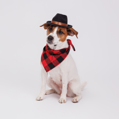 Ковбойская шляпа для собак с банданой, красно-черный