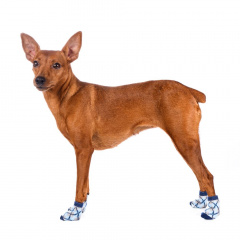 Носки S для собак синие с ромбами
