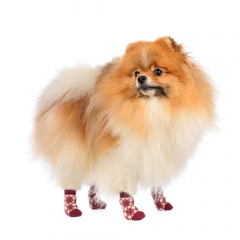 Носки S для собак бордовые с ромбами