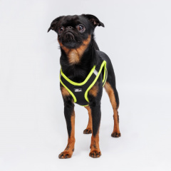 Шлейка-жилетка для собак Air, обхват груди 30-35 см, лента 10 мм, желтая