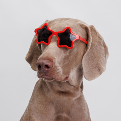 Очки-звезды для собак и кошек, 6х12,5 см, красные