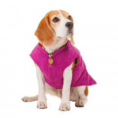 Куртка-жилетка для собак 2XL фиолетовый (унисекс)