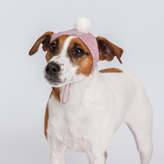 Шапка зимняя универсальная для собак, объем головы до 30 см, розовый (унисекс)