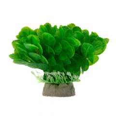Растение зеленое 10*10*12см 092-056B