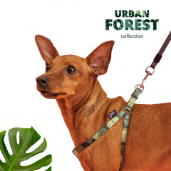 Шлейка для собак Urban Forest, S, 35-53 см, 10 мм