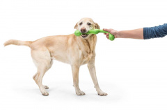 Игрушка для собак Перетяжка Zwig 35 см салатовый