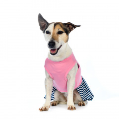 Платье для собак Space-Travel L розовый (девочка)