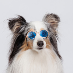 Очки солнечные для собак и кошек, голубые