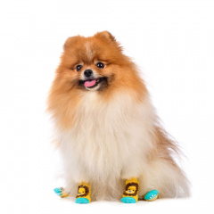 Носки для собак S желтый (унисекс)