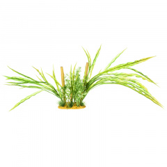 Растение композиция зеленая трава 20см