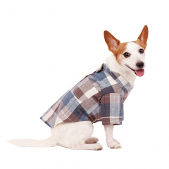 Рубашка с бантиком для собак M голубой (унисекс)