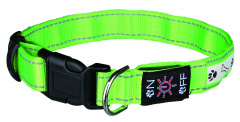 Светящийся ошейник для собак USB, M–L: 40–50 см/25 мм, зеленый