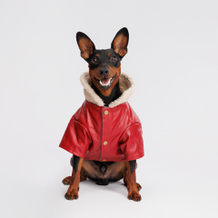 Куртка из кожзама для собак, M, красная