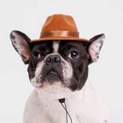 Ковбойская шляпа для собак, 13х9х5,5 см, коричневая