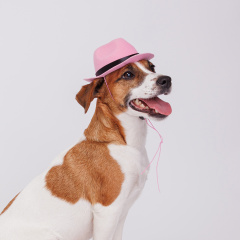 Ковбойская шляпа для собак, 13х9х5,5 см, розовая