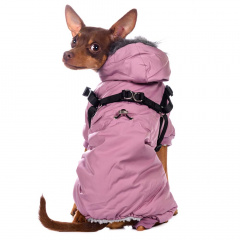 Комбинезон со шлейкой и капюшоном для собак XS фиолетовый (девочка)