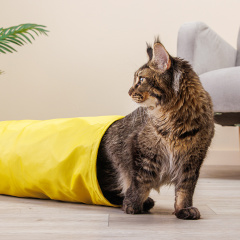 Тоннель с шуршащим элементом для кошек, 65х22 см, желтый