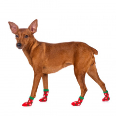 Носки S для собак красные с узором