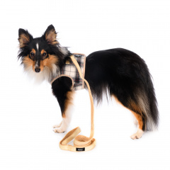 Шлейки для собак – цены, купить поводок и шлейку для собаки в интернет ...