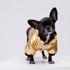 Куртка для собак, XS, золотая