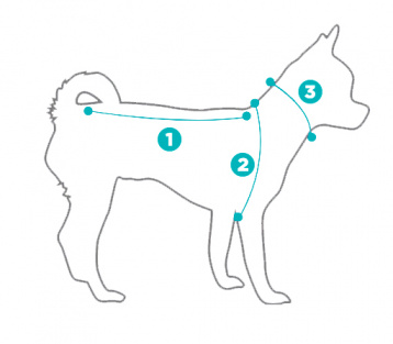 Как измерить собаку и подобрать ей одежду и обувь - советы, таблица