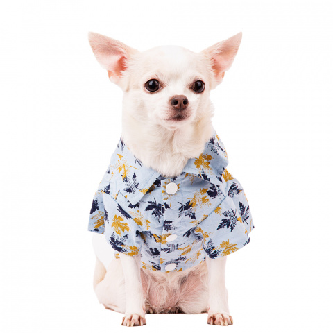 Рубашка для собак S голубой (унисекс) 1