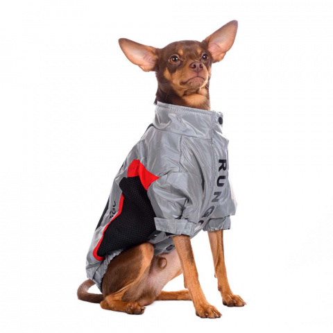 Куртка на молнии для собак мелких пород Карликовый пинчер, Джек Рассел, Бигль 29x42x27см M серый (унисекс) 5