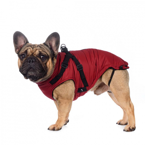 Попона теплая со шлейкой для собак крупных пород Французский бульдог 3XL бордовый (унисекс)
