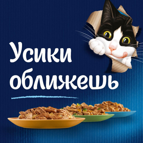 Sensations влажный корм для взрослых кошек с говядиной, в соусе, 85 г 2