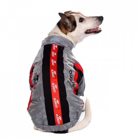 Куртка на молнии для собак крупных пород Карликовый пинчер, Джек Рассел, Бигль 56x79x51см 5XL серый (унисекс) 10