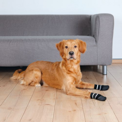 Нескользящие носки для собак, L, 2 шт., чёрный 1