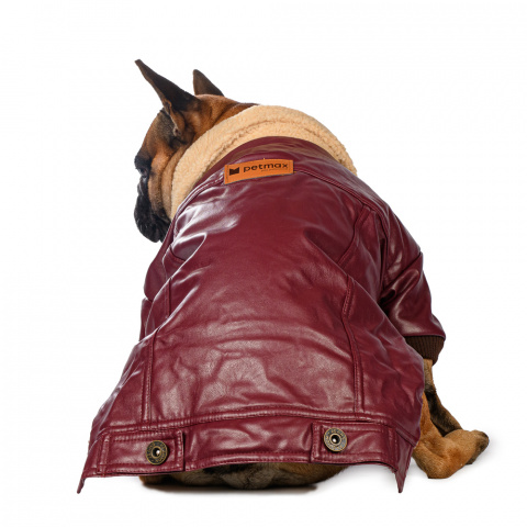 Куртка из кожзама для собак S бордовый (унисекс) 1