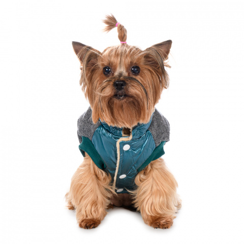 Куртка для собак XS голубой (унисекс) 1