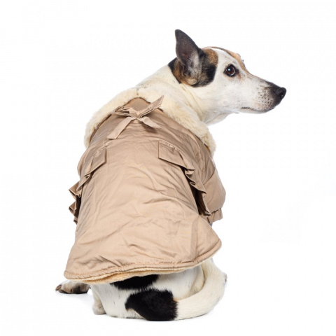 Куртка-плащ для собак S бежевый (унисекс) 5