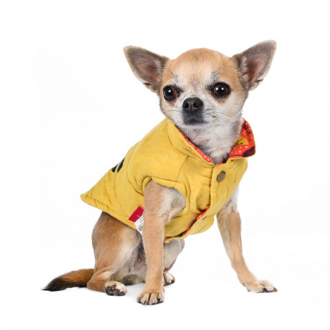 Куртка двухсторонняя для собак S желтый (унисекс) 10